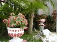 Garden of the Apart-Hotel EL CANDIL - Boca Chica - Dominican Republic
